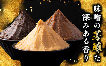 味噌 瀬戸内みそ3種 味噌[XBW006]