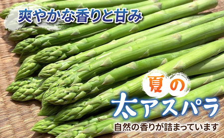 【先行受付2026年発送】農家直送！新鮮！夏獲れ太（L～2L）アスパラ約1kg（およそ25～35本）｜のららぼ農園 ※2026年7月上旬～9月中旬発送予定