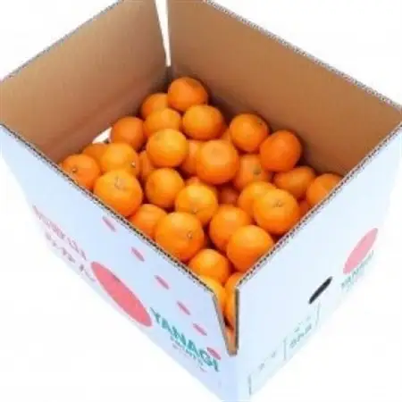 【先行受付】柳フルーツ園 (訳あり)みかん 約5kg (S/Mサイズ混合)_果物・フルーツ みかん  ミカン 蜜柑_【1456570】
