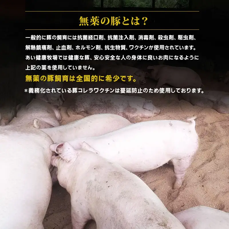 ミックス ミンチ 計 1kg 無薬 あい健康豚 ミンチ E012-154007