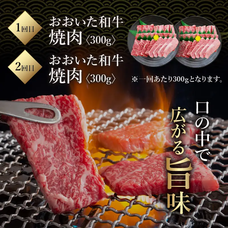 《定期便》おおいた和牛 定期便A_B163-010【牛 牛肉 和牛 おおいた和牛 セット 焼肉 すき焼き ステーキ 定期便 定期 のし 贈答 贈り物 冷凍 送料無料 4回 別府市】