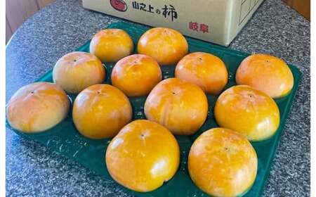 【訳あり】 精華園の家庭用 富有柿 約6.6kg【2026年12月上旬～12月下旬迄発送予定】