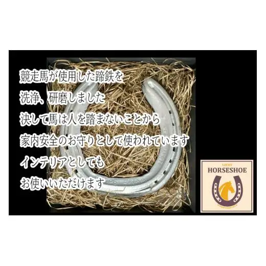 FUCHU　LUCKY　HORSESHOE（蹄鉄）