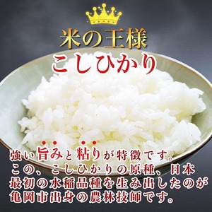 無洗米 2kg 真空パック 京都丹波産 コシヒカリ