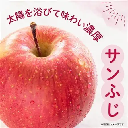 【先行受付】JA中野市「サンふじ」 ご家庭用 訳あり 10kg以上(28～40玉入り)【1481013】