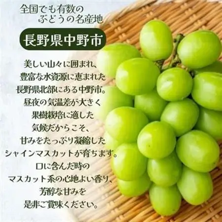 【先行受付】信州中野産 シャインマスカット 1.1kg以上(2～3房)【配送不可地域：離島・北海道・沖縄県・東北・中国・四国・九州】【1494233】