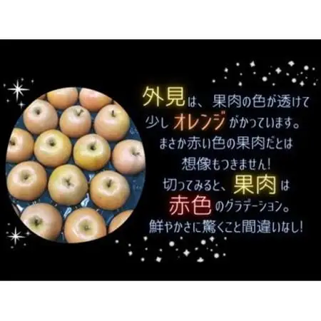 【希少赤い果肉!数量限定】なかののきらめき家庭用5kg(16玉～20玉)【1494785】