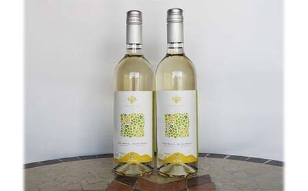 果樹園生まれの 「漆山ワイン (シャイン＆ロザリオ)」 750ml×2本セット 『漆山果樹園』 山形県 南陽市 [2078]