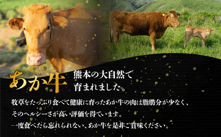 【GI認証】くまもとあか牛　すきやき用1000g 阿蘇牧場 熊本県 阿蘇市