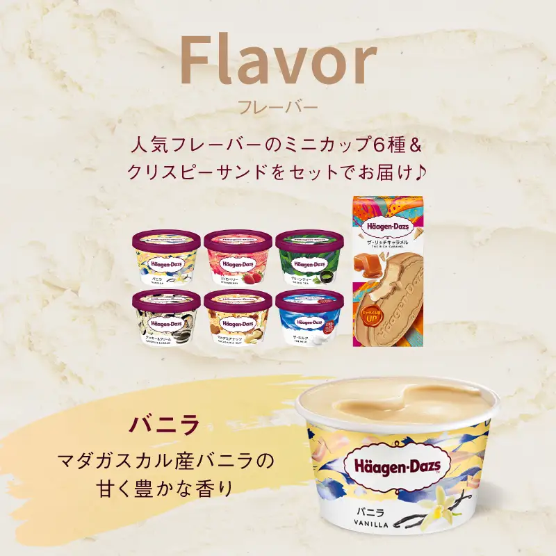 ＜全12回定期便・連続＞ハーゲンダッツ『ミニカップ＆クリスピーサンドセット(合計144個)』アイスクリーム アイス スイーツ デザート ミルクアイス アイススイーツ アイスデザート_H0016-139