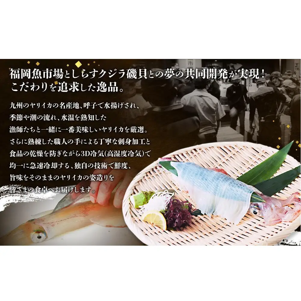 特A 呼子ヤリイカ 姿造り 刺身 1杯 加工前 230g セット いか ヤリイカ 刺身 お刺身 海鮮 魚 魚介 海の幸 おつくり 国産 九州 博多 福岡市