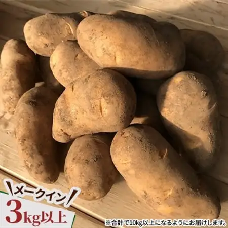  じゃがいも2種+ながいも 計10kgセット　北海道十勝帯広産_野菜 じゃがいも いも ジャガイモ 馬鈴薯  野菜  いも イモ 芋_【配送不可地域：離島】【1497187】