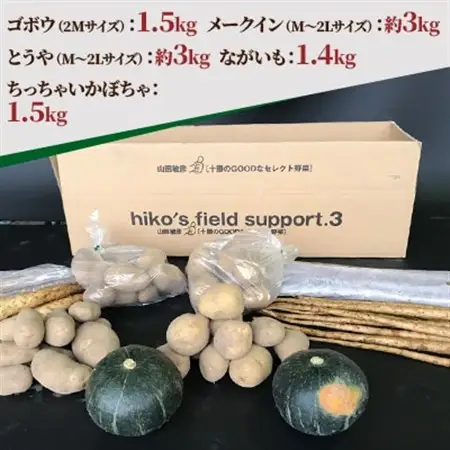 冬の味覚 野菜4種セット B 計10.4kg 北海道十勝帯広産_野菜 じゃがいも いも ジャガイモ 馬鈴薯  野菜  根菜   野菜 かぼちゃ  カボチャ 南瓜_【配送不可地域：離島】【1497191】