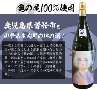 【数量限定】＜池沢理美作画ラベル＞ 純米大吟醸 甕御前（かめごぜん）4合瓶（720ml） 日本酒 酒 冷酒【焼酎屋の前畑】A353-02