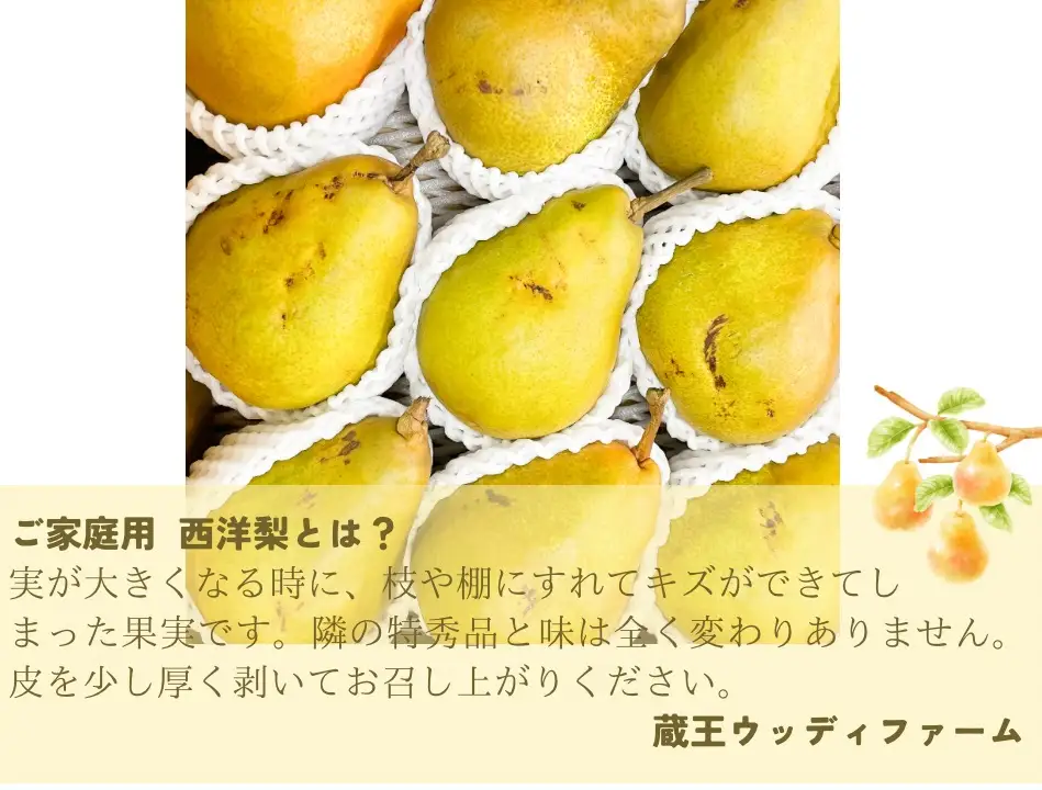 西洋梨3～4種食べ比べセット 5kg ご家庭用 0062-2604