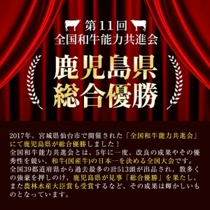 ＜定期便・全3回＞鹿児島県産 黒毛和牛・黒豚を堪能できる定期便(合計2.6kg) t0072-002