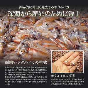 日本海産 ボイル ホタルイカ 計500g（250g×2P）【冷凍】【ほたるいか 蛍烏賊 いか イカ 烏賊 海鮮 小分け グルメ おつまみ 肴】 [e04-a109]