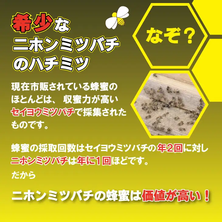 はちみつ 日本蜜蜂 百花蜜 1,000g C210-014 はちみつ 国産
