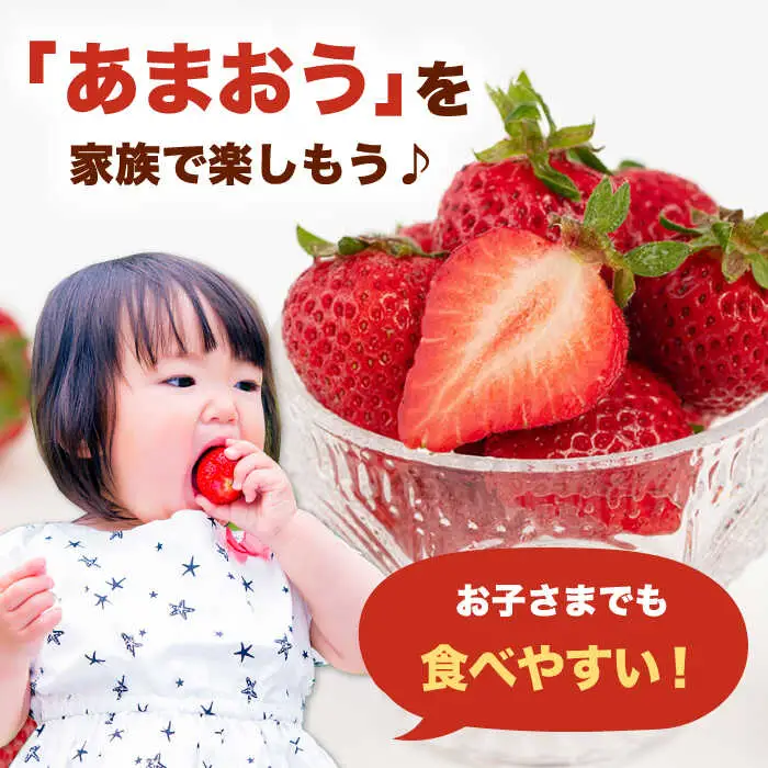 【2027年度先行予約】あまおうLサイズ 約320g×2P [ADAT003] あまおう