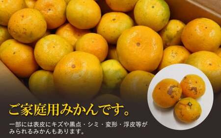 ご家庭用 温州みかん 約10kg ( 約5kg × 2箱 ) 村上農園 | みかん ミカン 蜜柑 果物 くだもの フルーツ 熊本県 玉名市