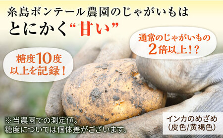 糸島育ちのジャガイモ 2種食べ比べ インカのめざめ インカのひとみ 各5kg・計10kg  糸島市 / 糸島ボンテール農園 [ACO014]