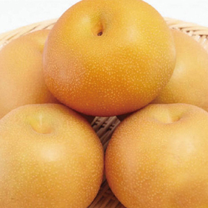 9月中旬より順次発送予定！【長野県高森町】南信州産 南水 5kg