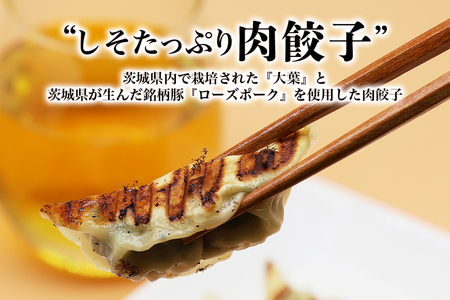 【数量限定】 しそたっぷり肉餃子 2袋 肉餃子30個×2袋 60個 ぎょうざ ギョウザ 餃子 しそ シソ ローズポーク 豚肉 小美玉産 茨城県産 名産 冷凍 17-AN
