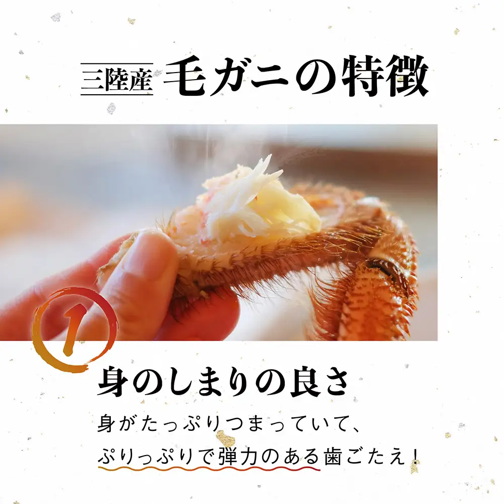 【令和9年発送】【訳あり】三陸産 活毛ガニ 1kg(3～4杯)【08】【2027年2月～4月発送】先行予約｜訳ありカニ 国産 冷蔵 三陸 濃厚 かに 蟹 カニ 毛ガニ 毛蟹 毛がに けがに 天然【配送日指定不可】