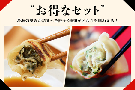 【数量限定】 ニラたっぷり肉餃子・しそたっぷり肉餃子 各1袋 ニラたっぷり肉餃子30個 しそたっぷり肉餃子30個 ぎょうざ ギョウザ 餃子 ニラ にら しそ シソ ローズポーク 豚肉 小美玉産 茨城県産 名産 冷凍 17-AP