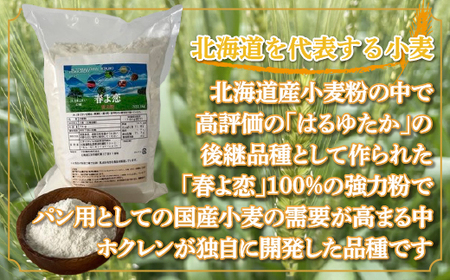 春よ恋(強力粉) 1kg×5袋 MKWR006