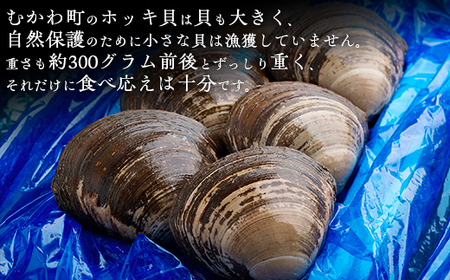 鵡川漁協発!特選ホッキ貝(2.5kg) MKWV001