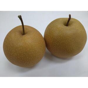 【先行予約】南信州阿智村　梨【豊水】｜果物 フルーツ 期間限定 数量限定 5kg 信州 長野