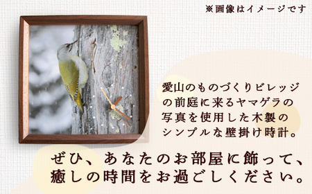 おしゃれ 掛け時計 野鳥時計【ヤマゲラ】【G15107】