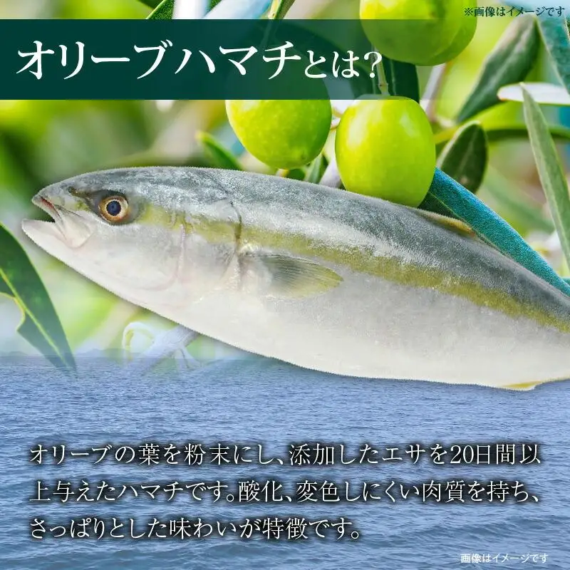 香川県産オリーブハマチのぶりしゃぶセット