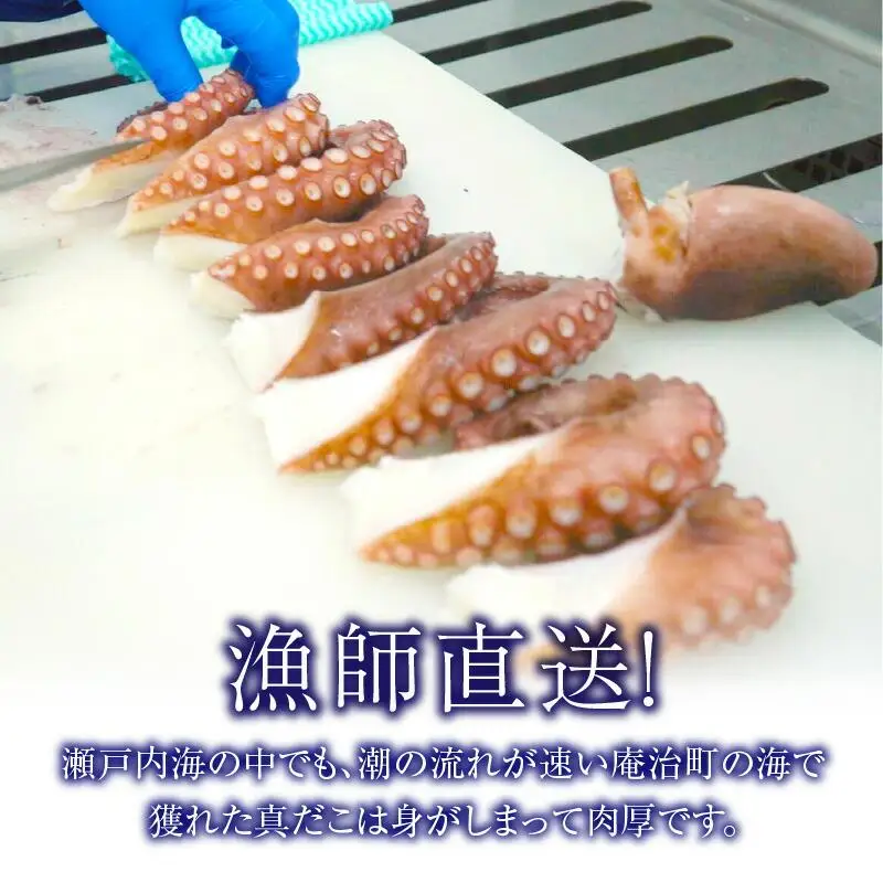 瀬戸内地だこの一本足