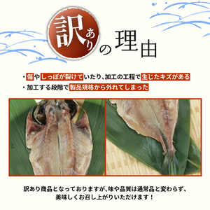 【 訳あり】 アジ 干物 約2kg 規格外 不揃い アジ