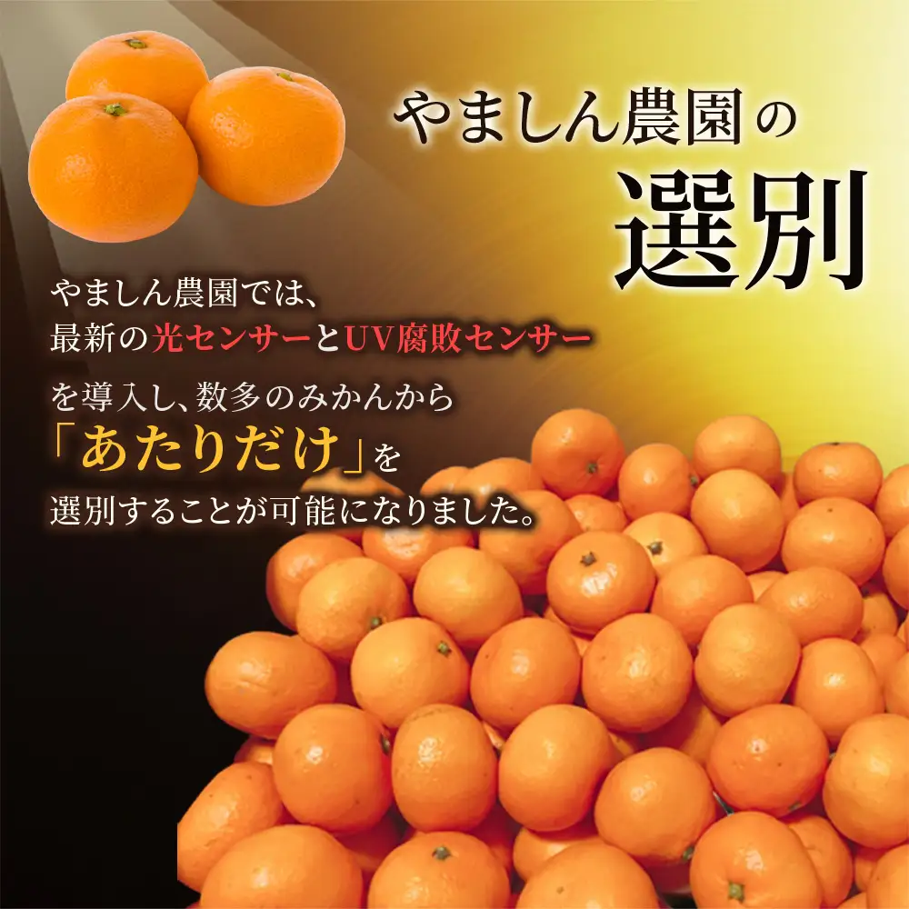 みかん 極 有田みかんプレミアム 約5kg【nuk155G】 | 和歌山県新宮市