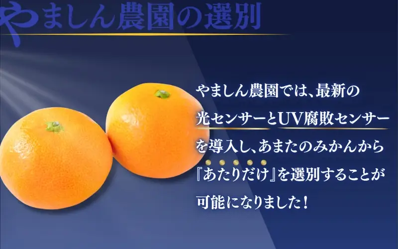 みかん 有田みかんプレミアム 約5kg 【nuk155G】