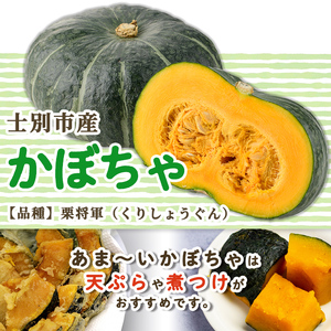 野菜 詰め合わせ 20kg たまねぎ かぼちゃ じゃがいも 北海道産 2026年10月中旬以降順次発送 【士別農園】C7037
