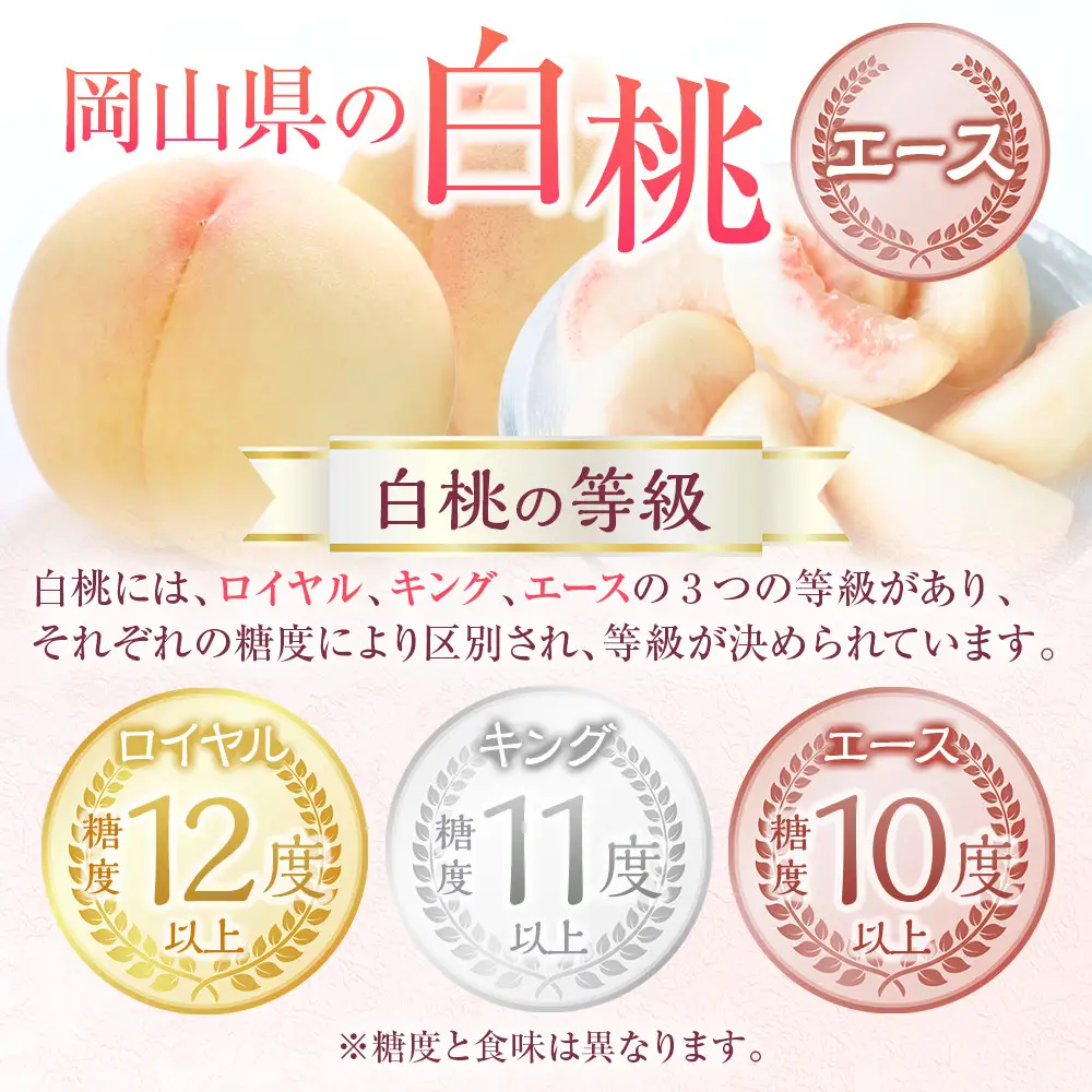 2026年 先行予約 岡山県産  白 桃   エース 約1kg（4～6玉）｜ 桃
