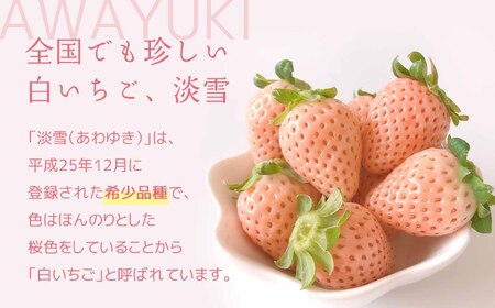 白いちご「淡雪」(大玉限定400g)《化粧箱付》｜西谷農園