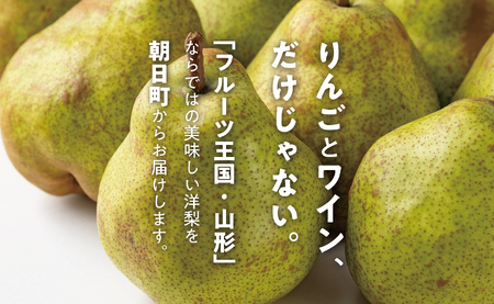 ラ・フランス 洋梨 3kg 9～12玉 秀品 【11月中旬発送】 農家直送 山形県 朝日町産 山形産 山形 特産 産地直送 果物 フルーツ ラフランス 秋