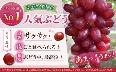 【先行受付2026年発送】皮ごと食べられるクイーンセブン2～3房（約1kg）｜あおさく農園　※2026年9月上旬以降発送予定｜農薬削減