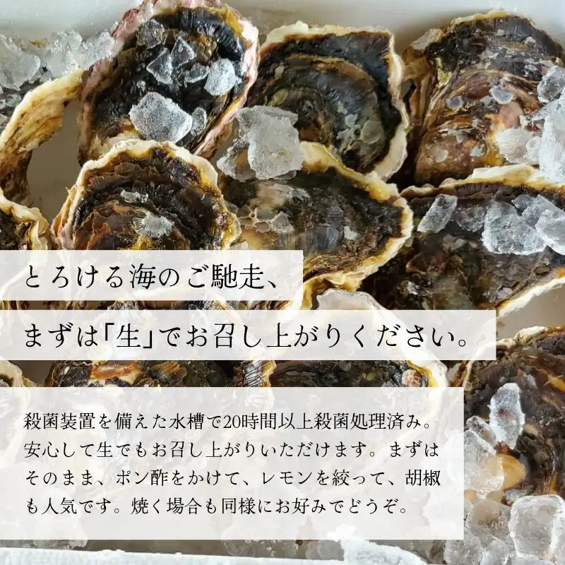 訳あり 岩がき 大サイズ 4kg前後 生食用 ： 牡蠣 殻付き
