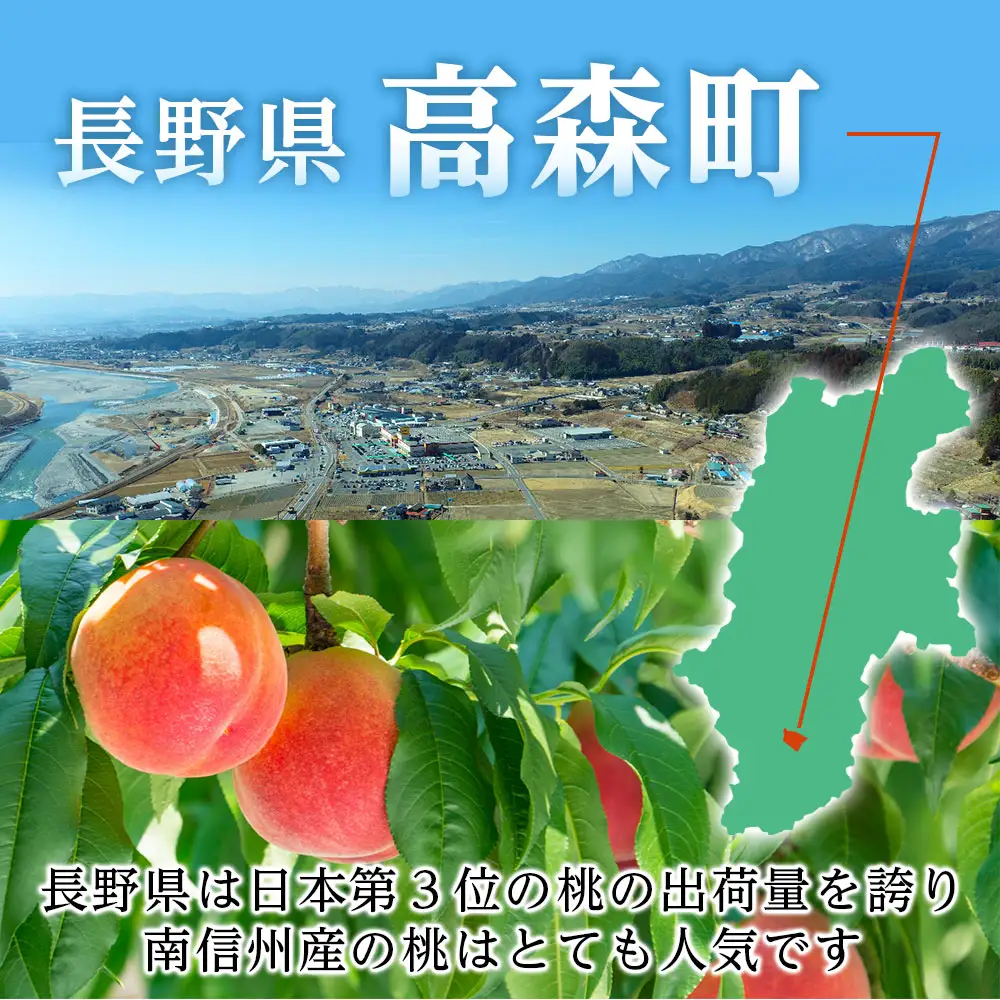 【南信州産】あかつき約5kg（秀品）光センサー選別品＜2027年7月中旬より発送＞