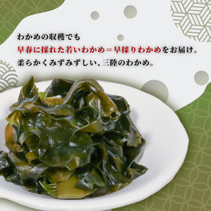 早採りわかめ 100g × 11パック 計1.1kg わかめ 海藻 海鮮 魚貝類 魚介類 小分け 個包装 みそ汁 スープ 酢の物 三陸産 岩手県 大船渡市