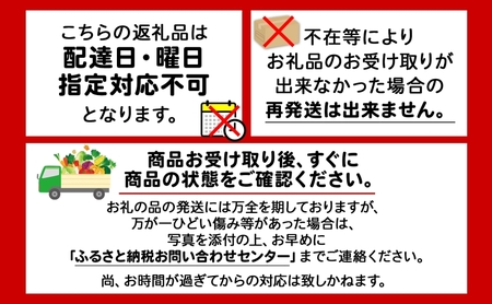 じゃがいも 男爵 きたかむい 北海道産 じゃがいも【各約5kg 計10kg Lサイズ】