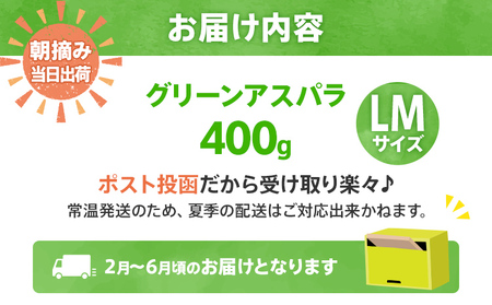 アスパラガス LM 400g【2026年2～6月配送】 BT12