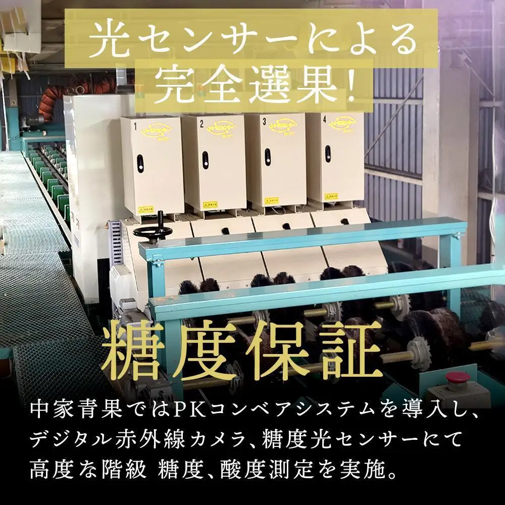 和歌山県産 糖度 12.5度以上 秀品 贈答用 みかん 3kg 3S ～ Lサイズ混合 【NY1w】