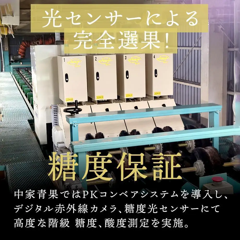 和歌山県産 糖度 12.5度以上 秀品 贈答用 みかん 5kg 3S ～ Lサイズ混合 【NY2w】